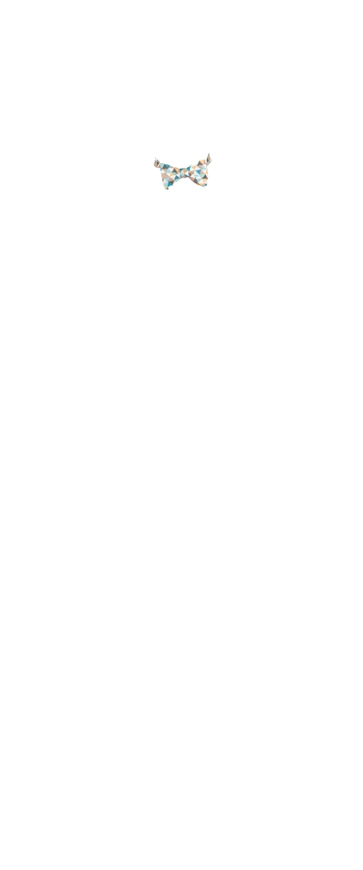 Blue Pattern Bow Tie